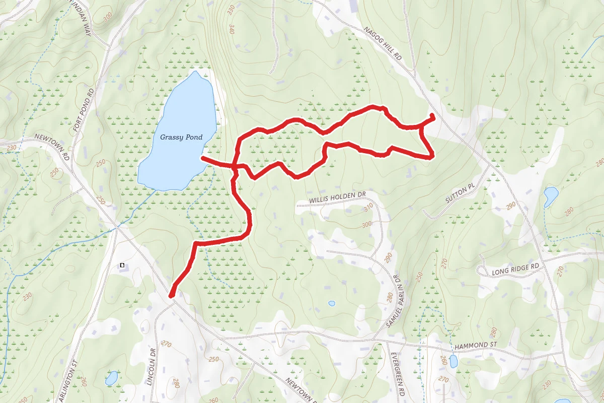 Grassy Pond Loop