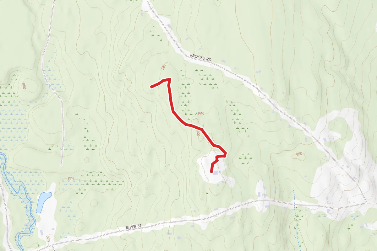 Birch Hill Management Area