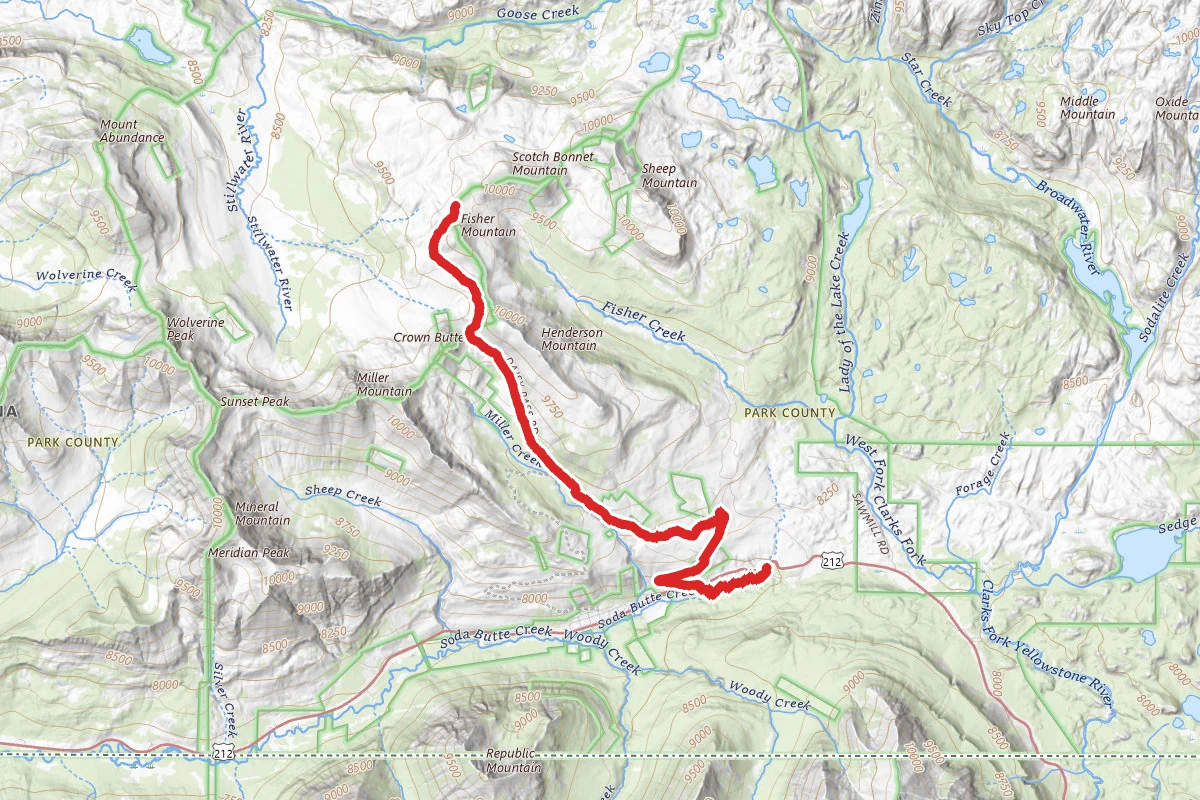 Daisy Pass