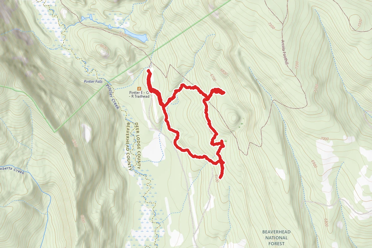 East Pintler Loop