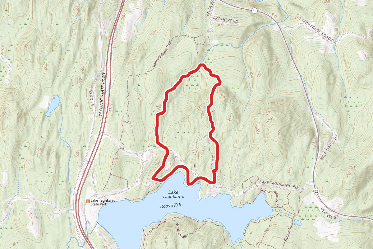 Lake Taghkanic Campground Loop
