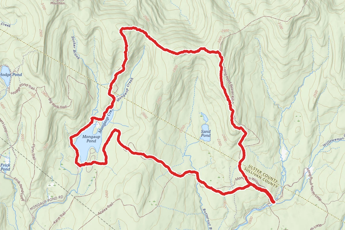 Mongaup Flugertown Loop