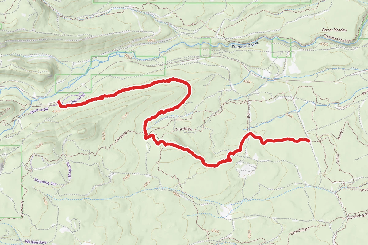 Skyliners to Phil's Trail