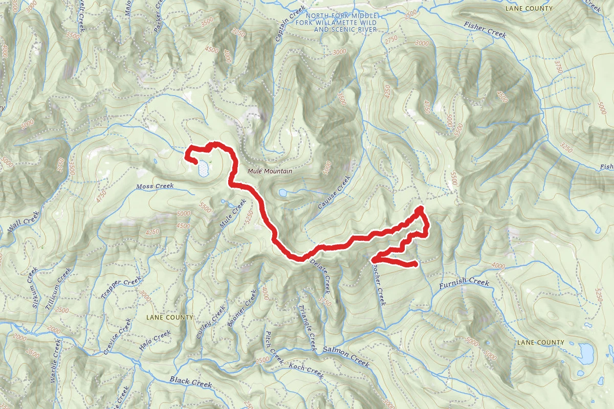 Blair Lake Trail