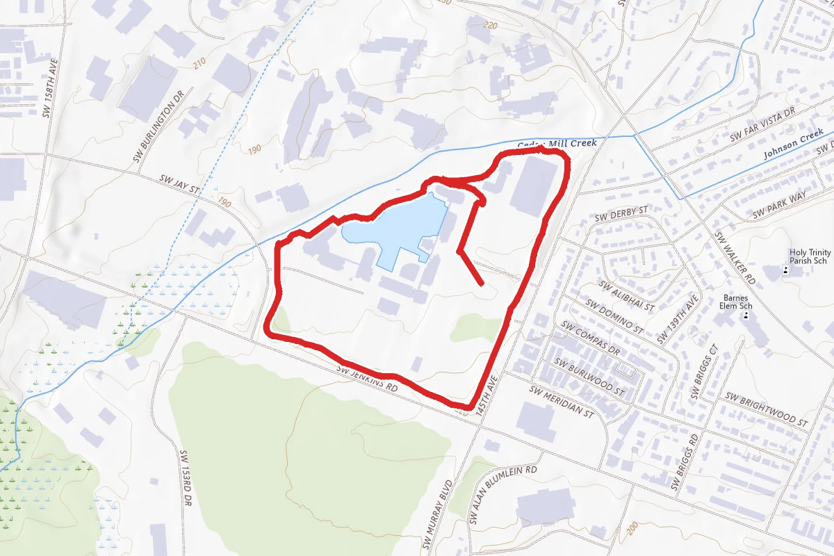 Nike Campus Loop