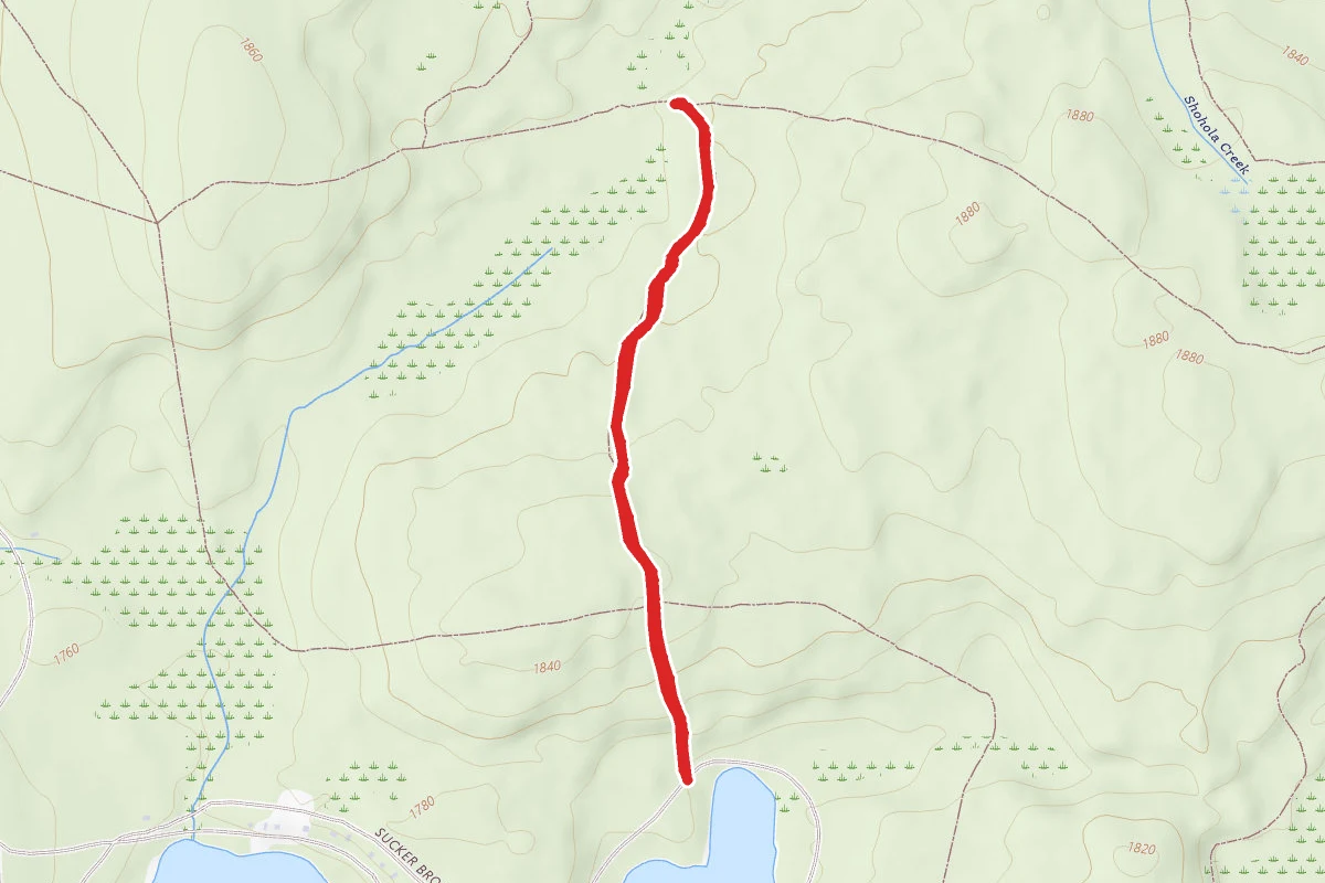Whittaker Trail