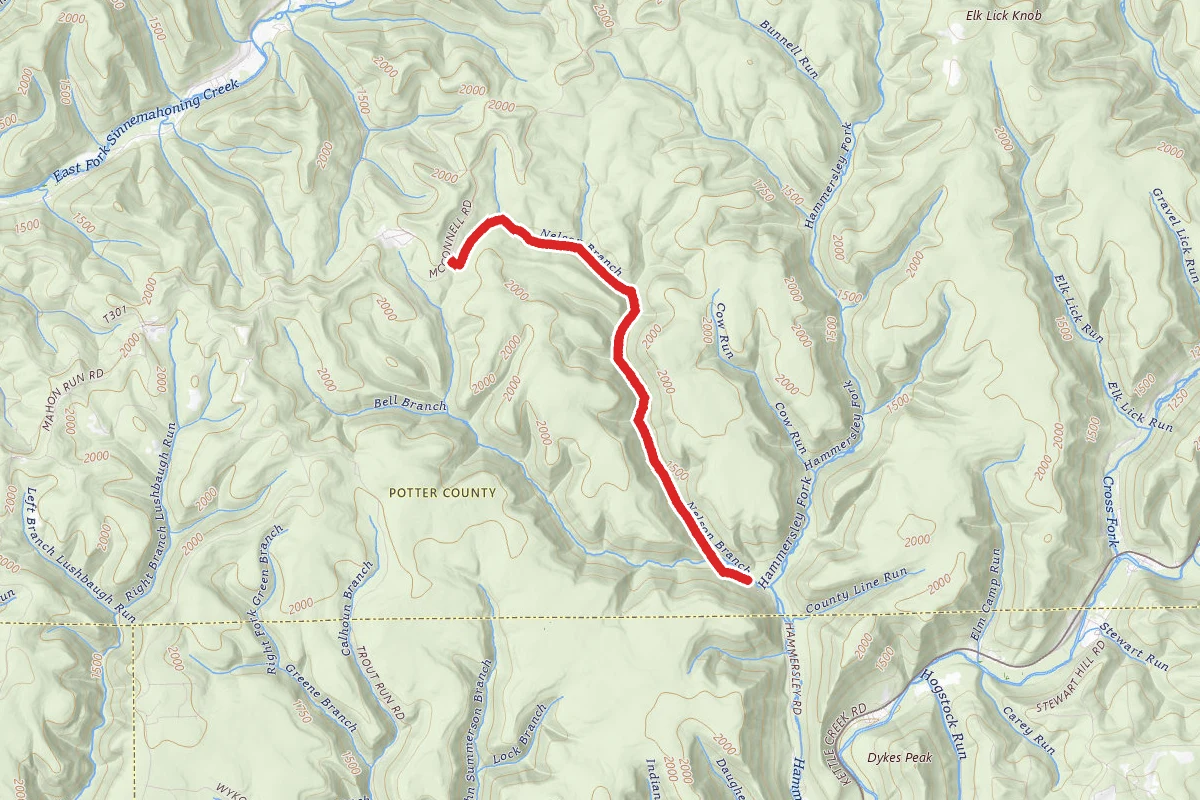 Nelson Hollow Trail