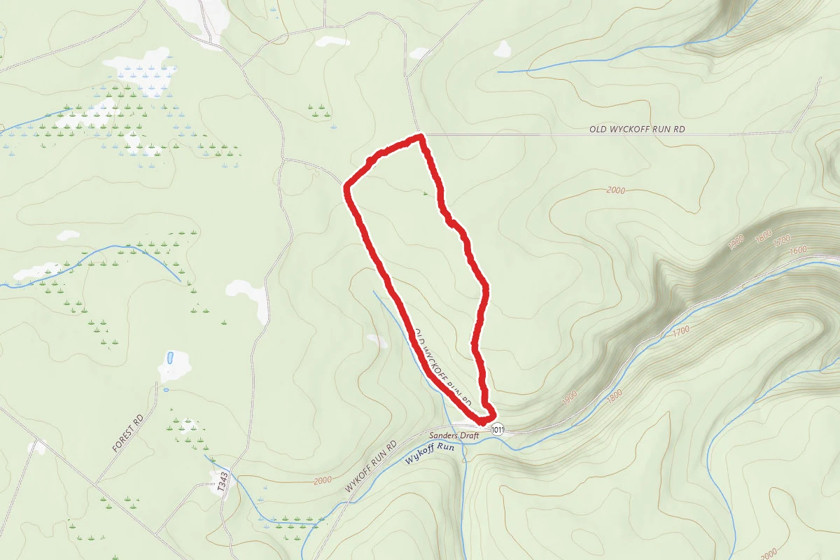 Bailey Log Trail