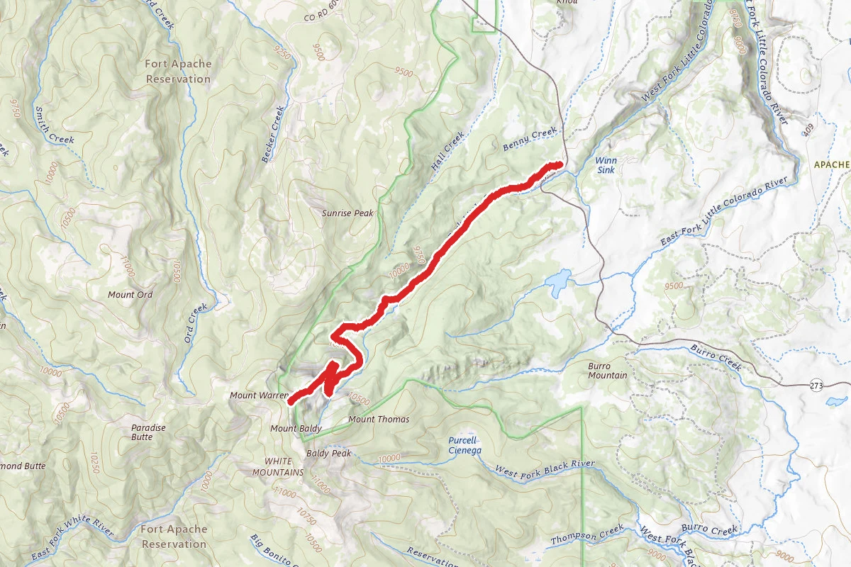 Mount Baldy via West Baldy Trail #94