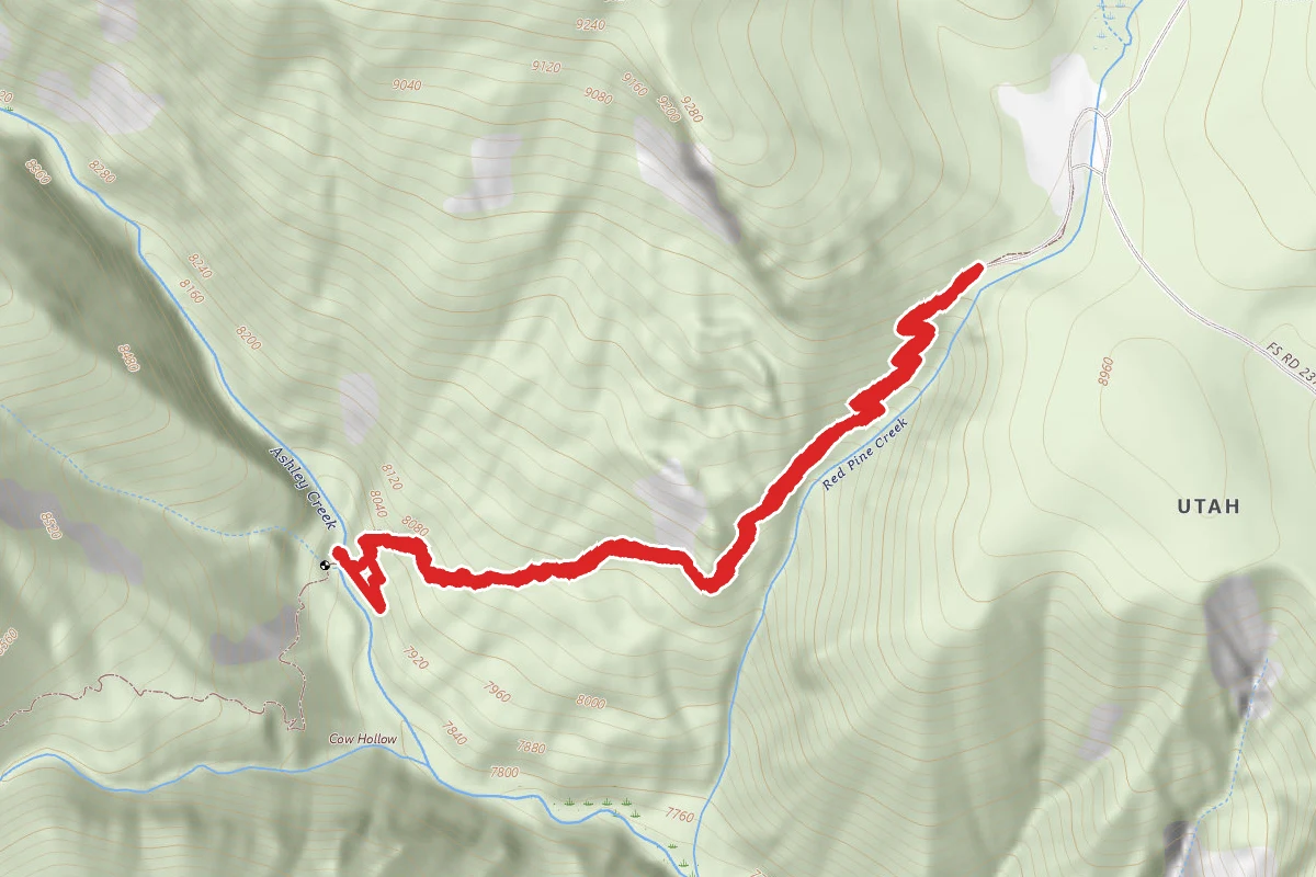Red Pine Creek Trail