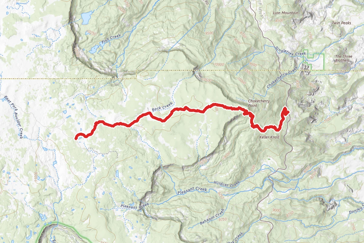 Chokecherry Point OHV Trail