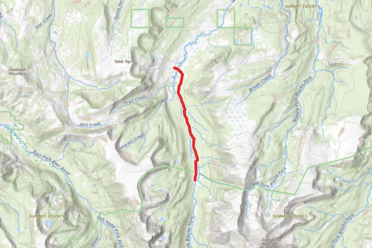 Buck Pasture Trail