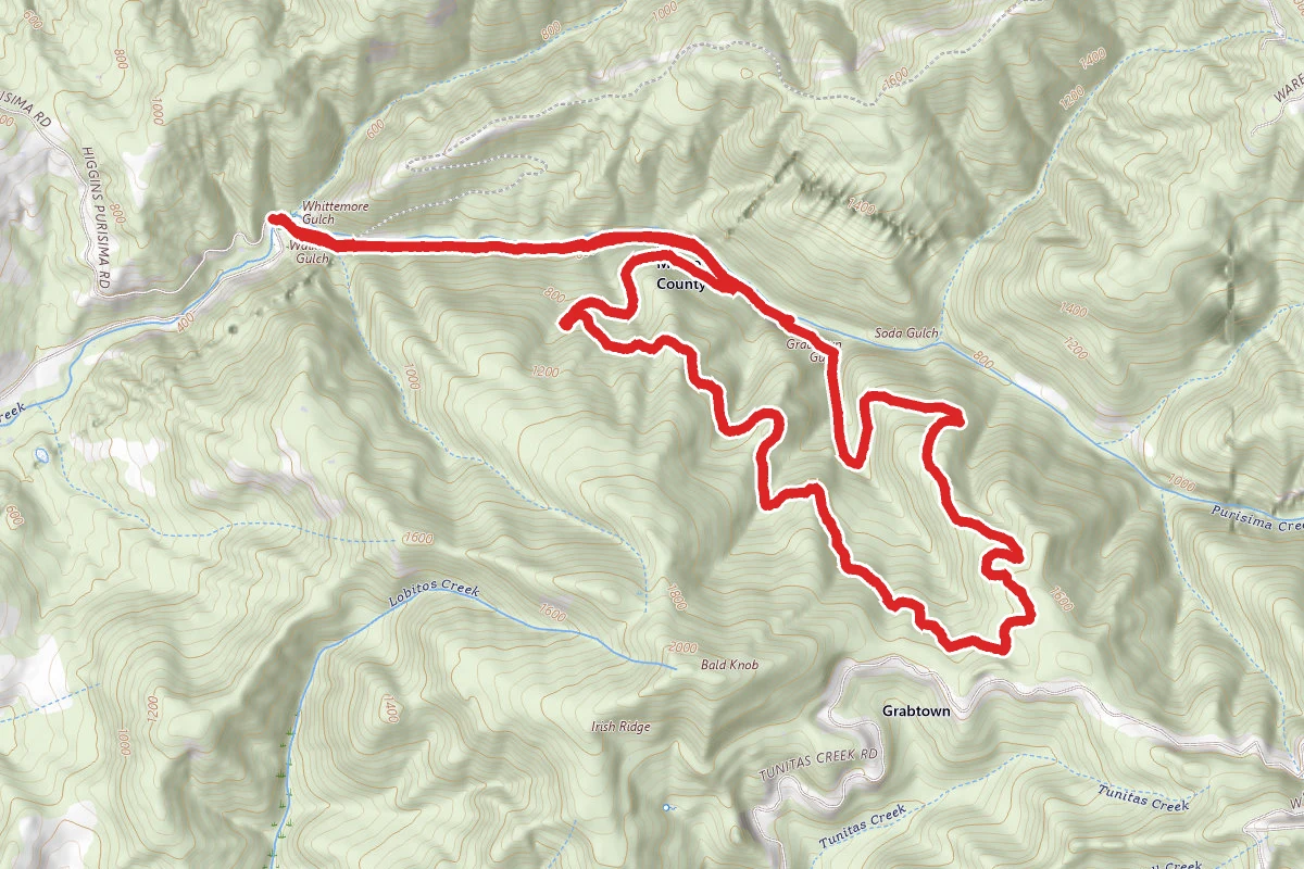 Purisima Creek to Grabtown Gulch to Borden Hatch Mill Loop