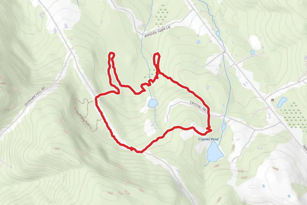 Matsutake Loop