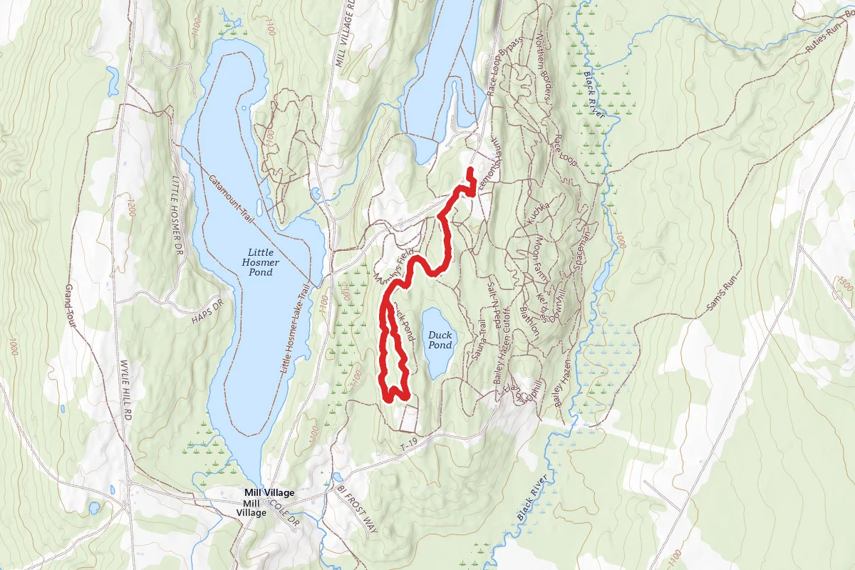 Ollie's Folly Loop