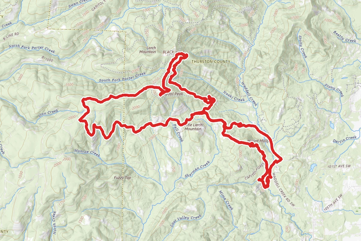 Mount Molly and Capitol Forest OHV Loop route map