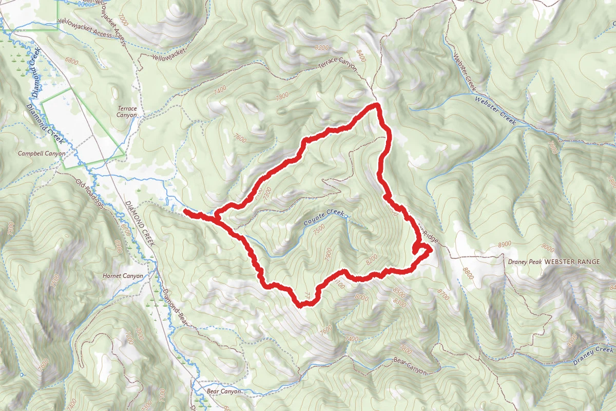 Draney Peak Loop