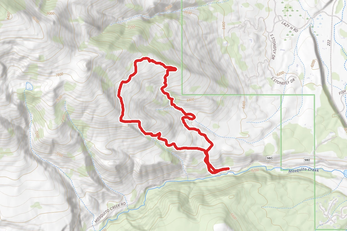 Jackson Hole Shed Loop