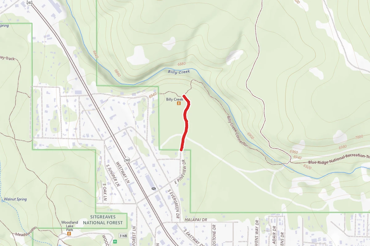 Pineview Connector