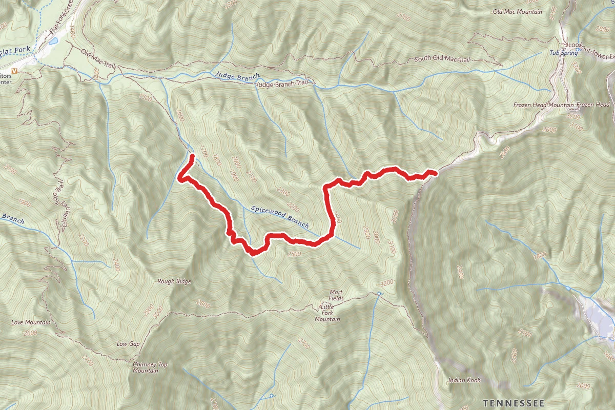 Spicewood Trail