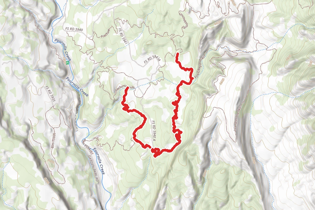 Anticline