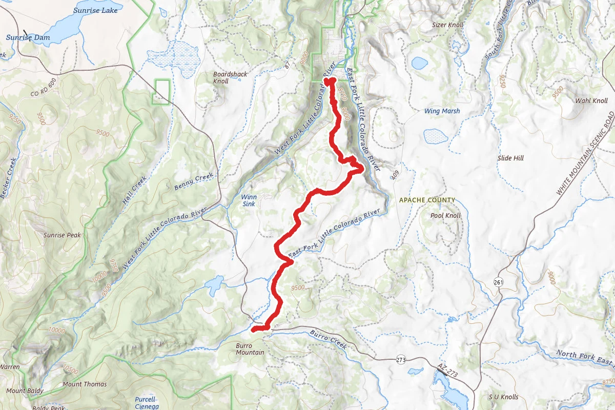 East Fork