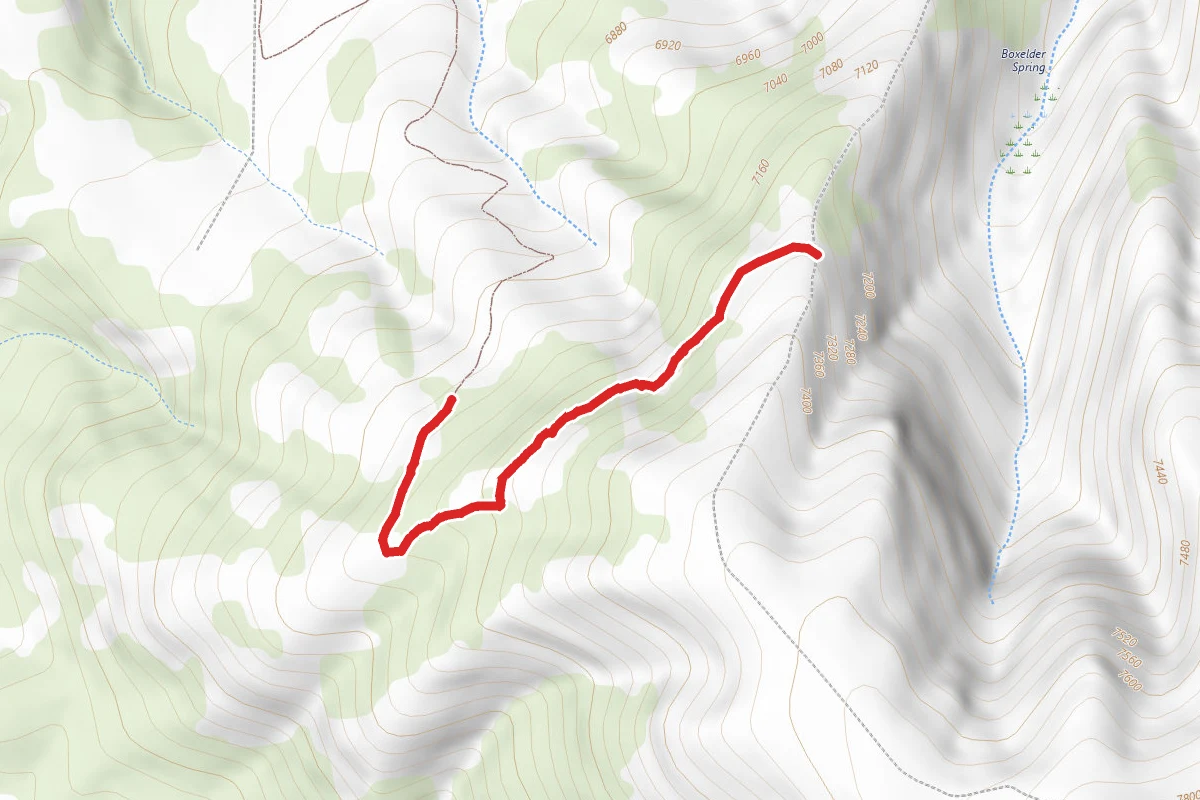 Yampa Valley Trail