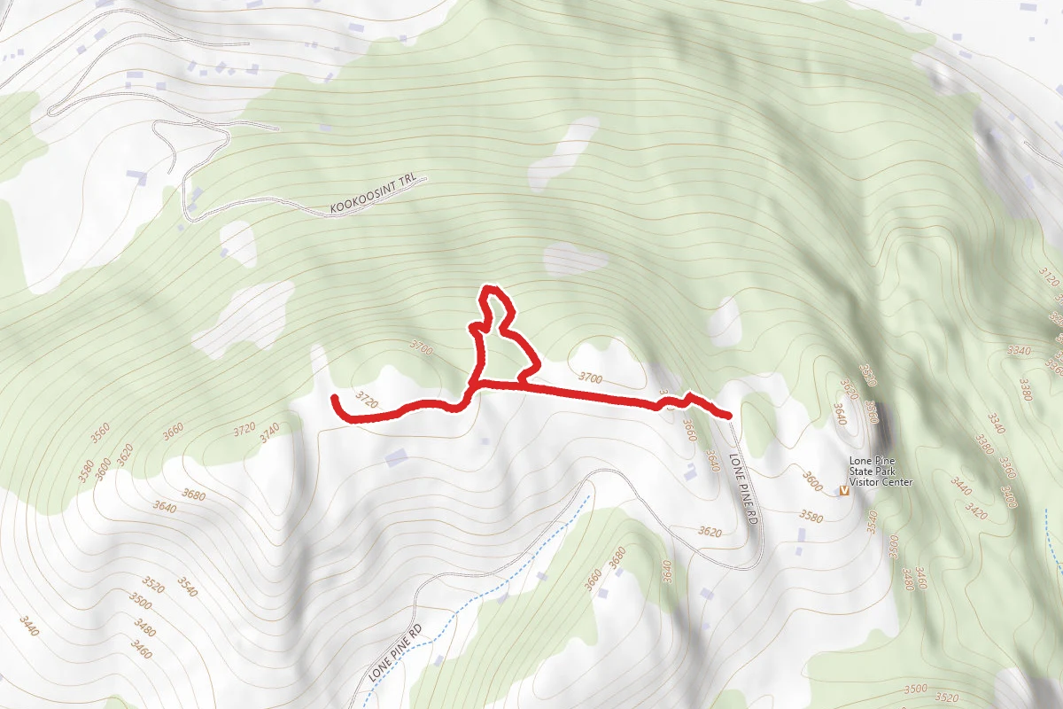 Archery Trail