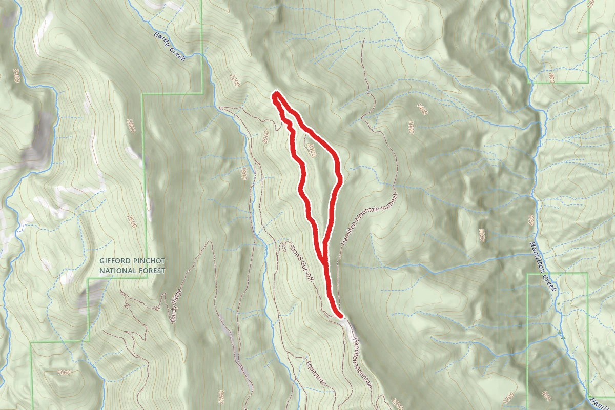 Upper Hardy Creek