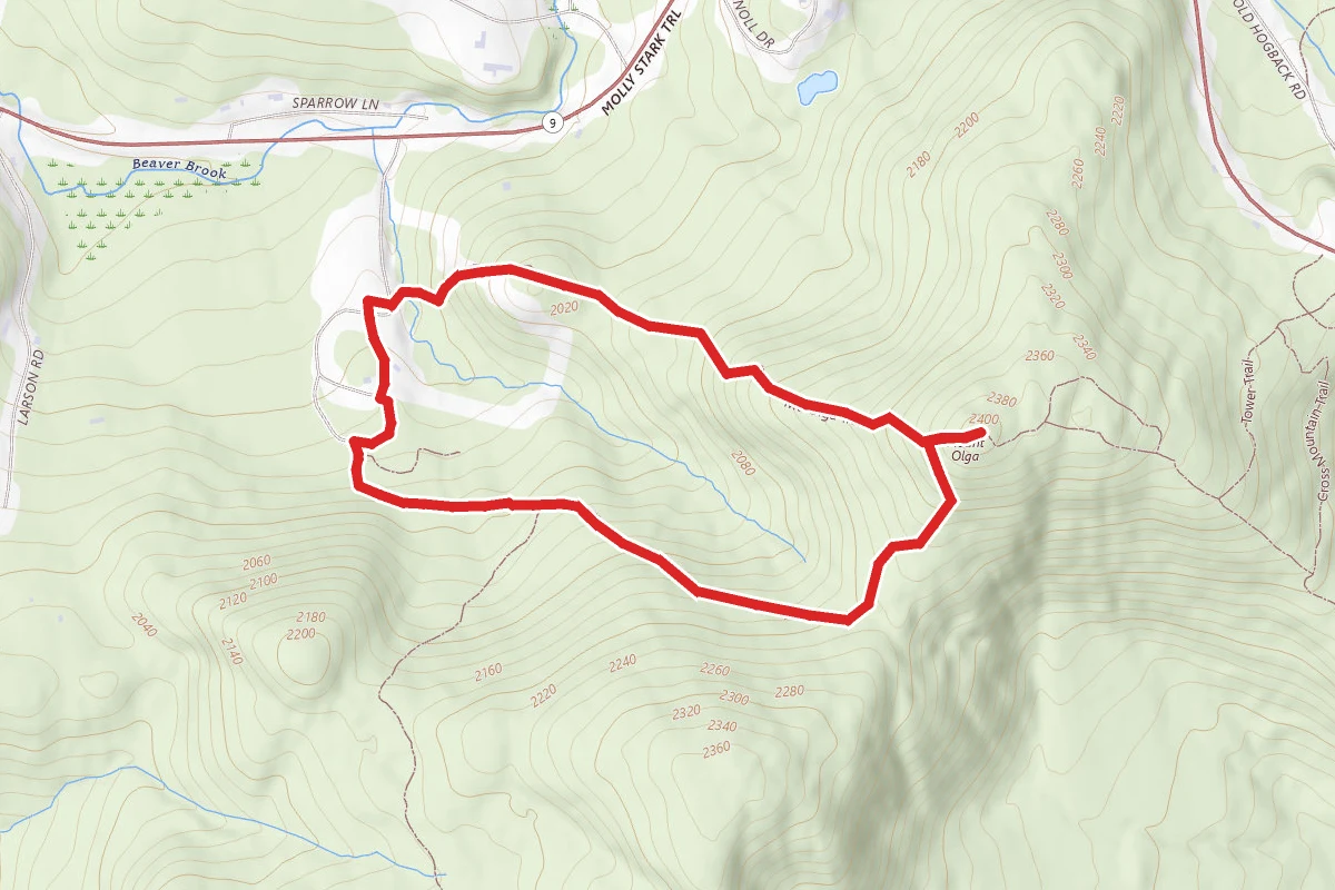 Mount Olga Trail