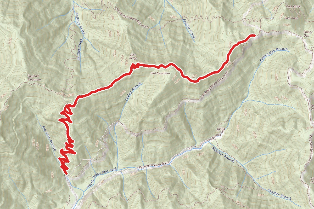 Bird Mountain Trail
