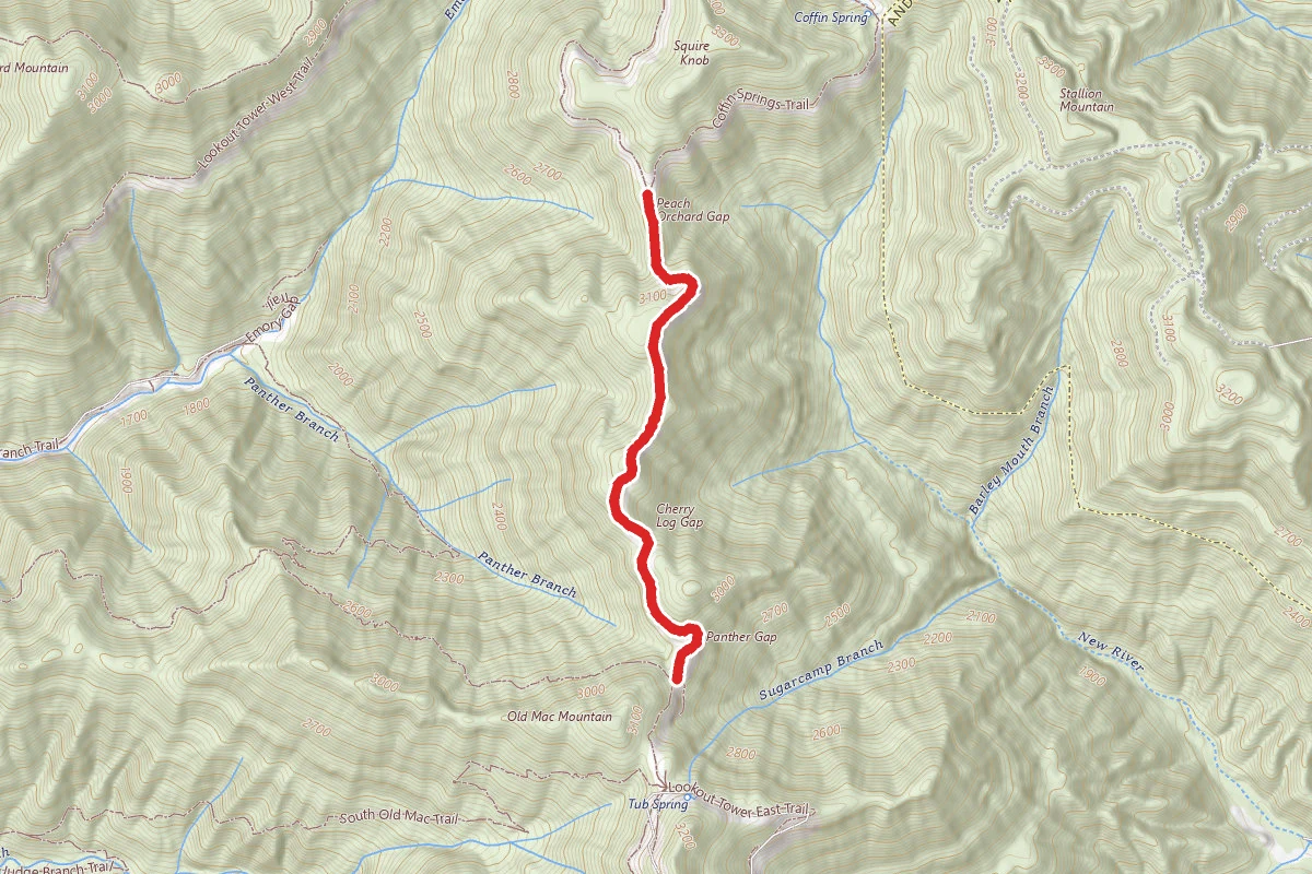 Lookout Tower Trail