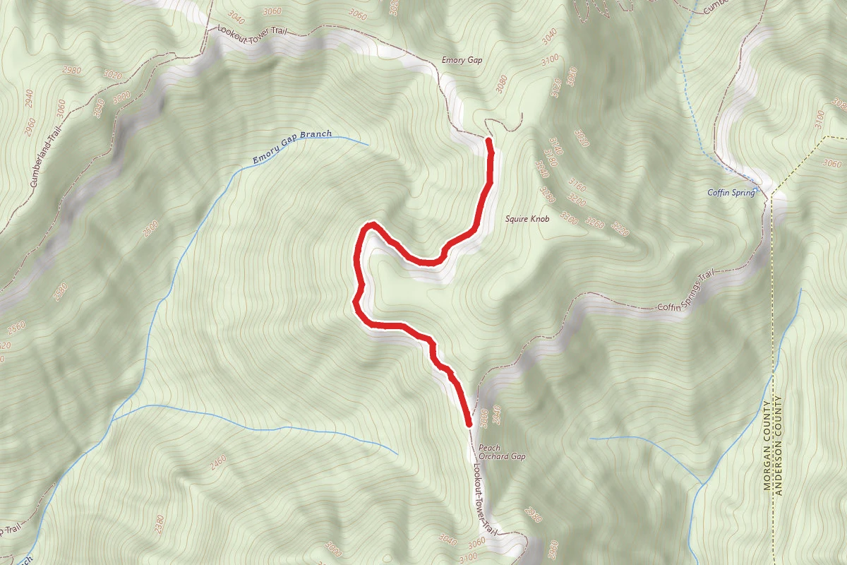 Lookout Tower Trail