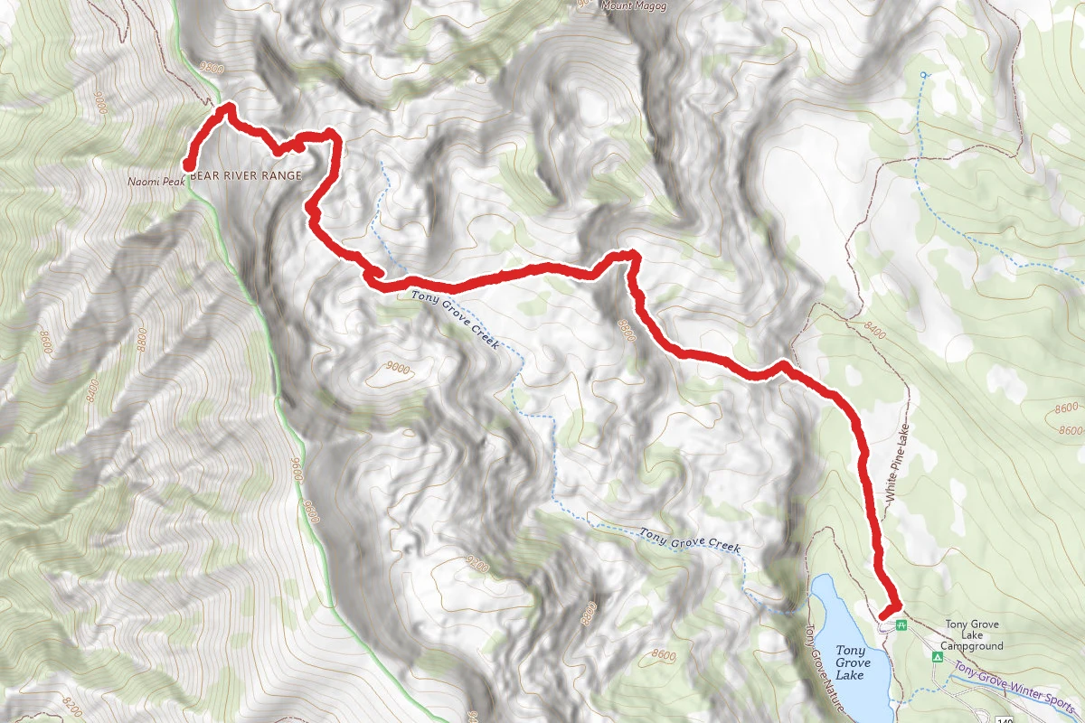 Naomi Peak Trail