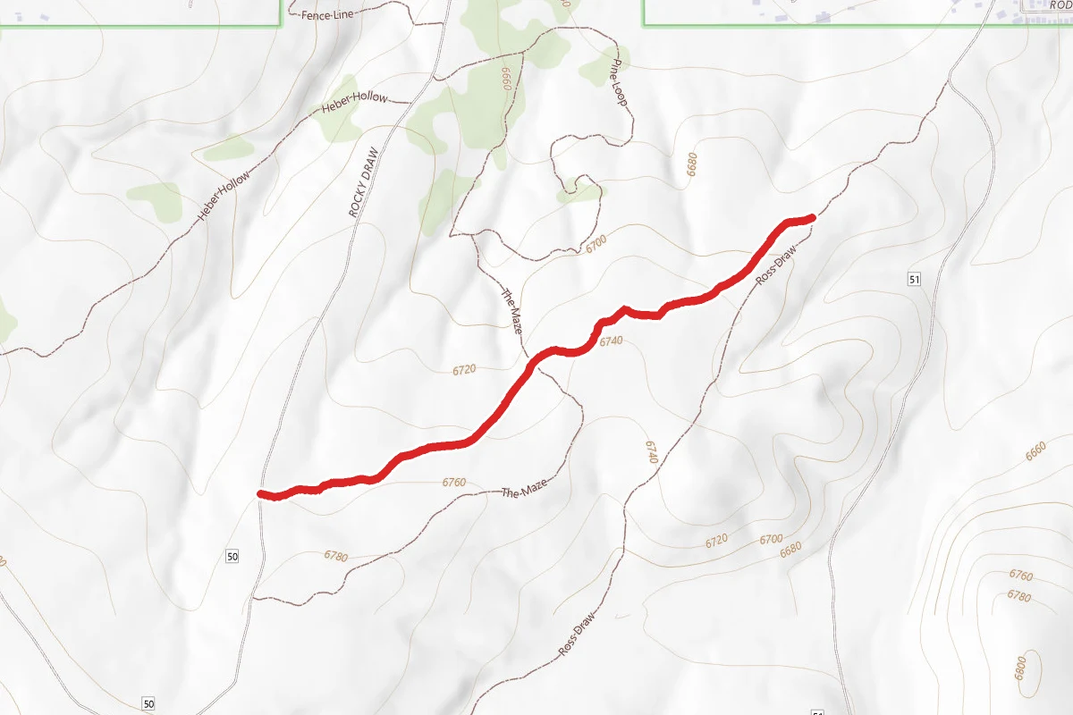 Section Line