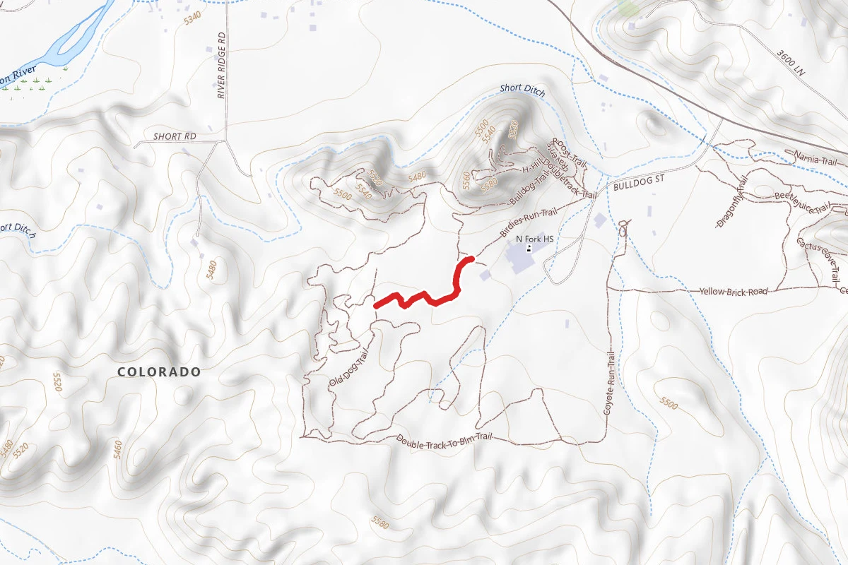 Bird-Dog Connector Trail