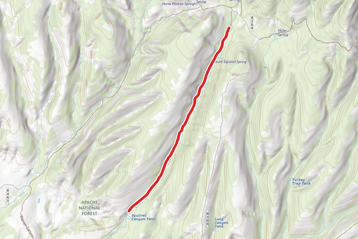Squirrel Canyon