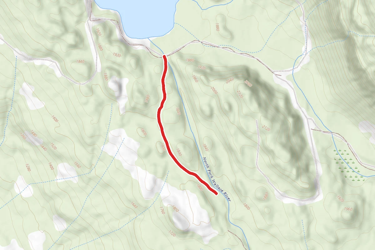 Greg Ball Trail to Wallace Lake