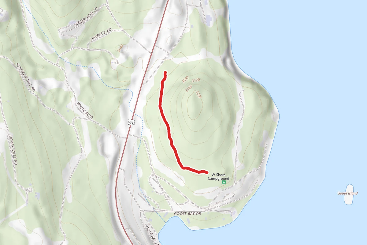 Whitetail Way