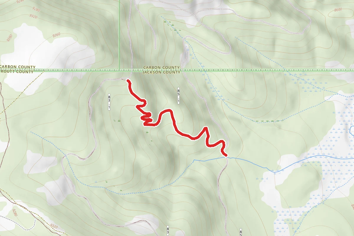 Ellis Trail