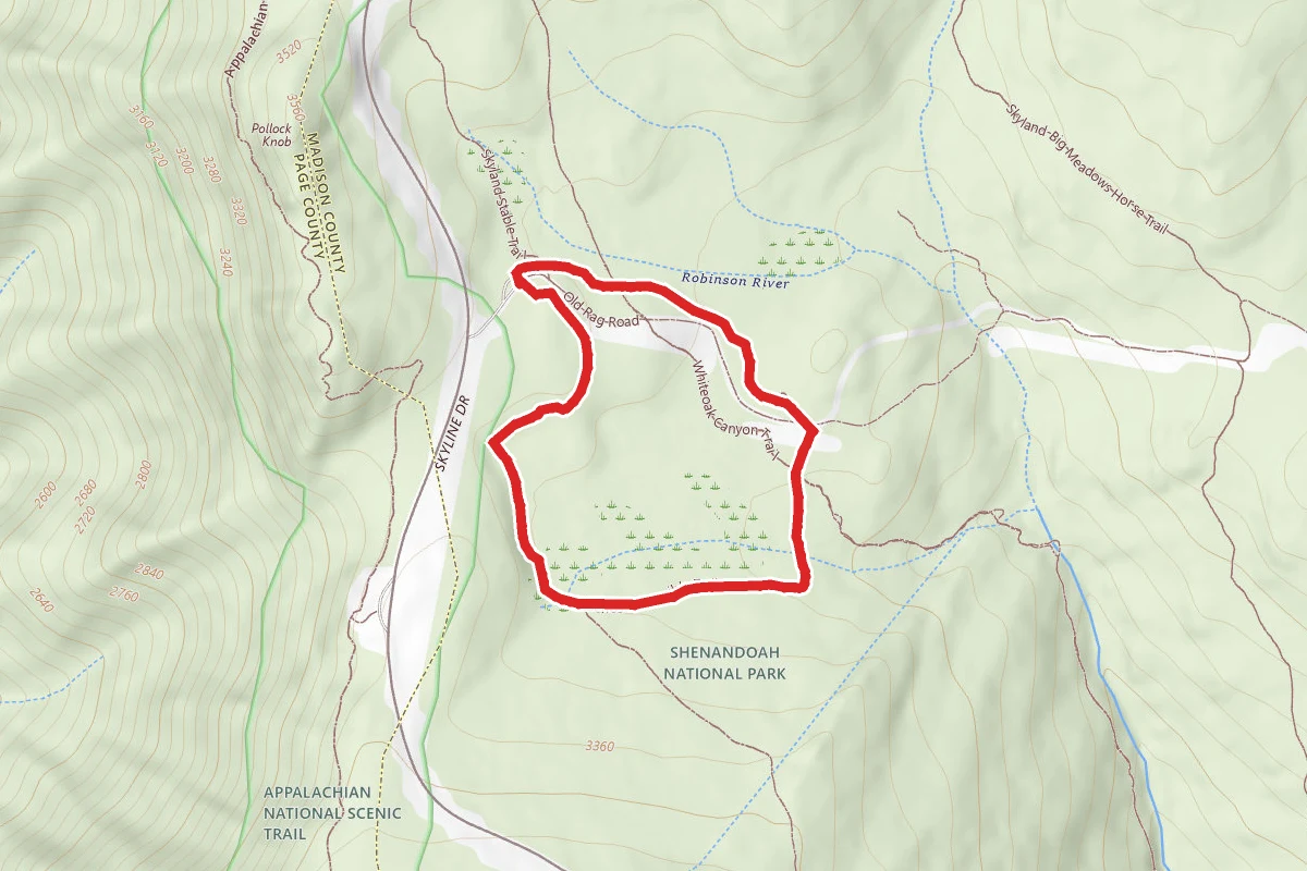 Limberlost Trail