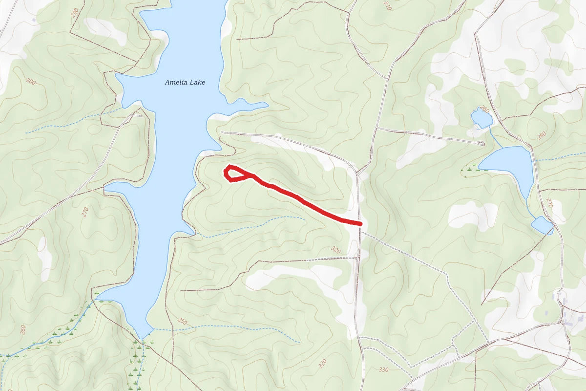 Amelia Wma Trail