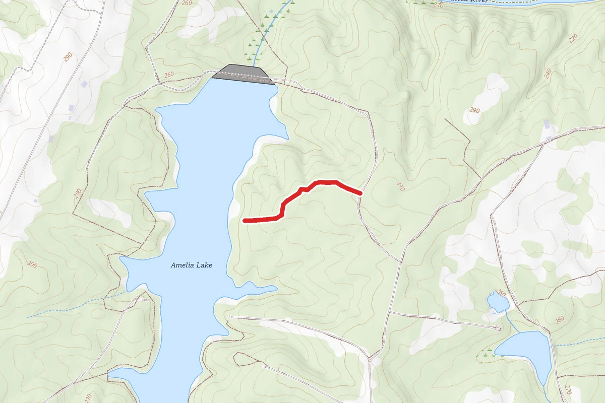 Amelia Wma Trail
