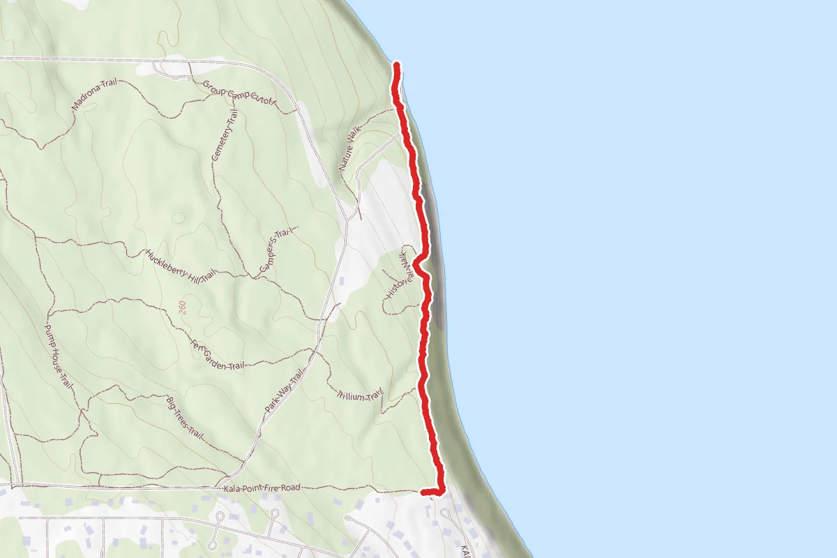 Bluff Trail