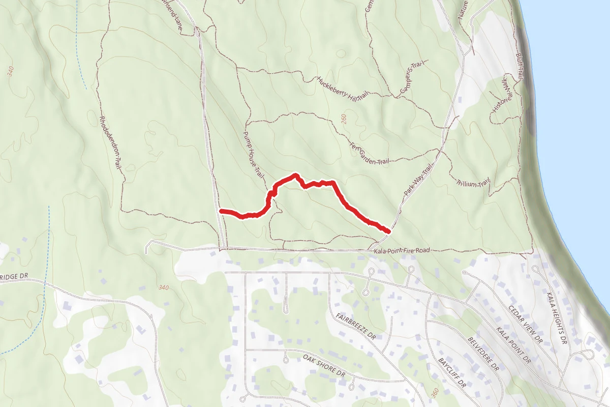 Big Trees Trail