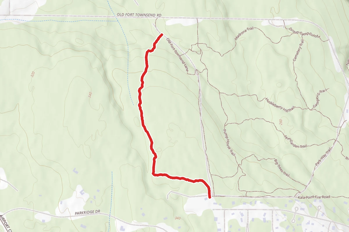 Rhododendron Trail