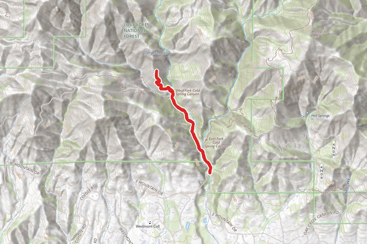 Tangerine Falls Trail