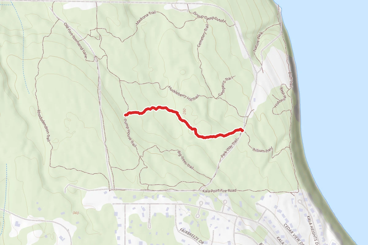 Fern Garden Trail