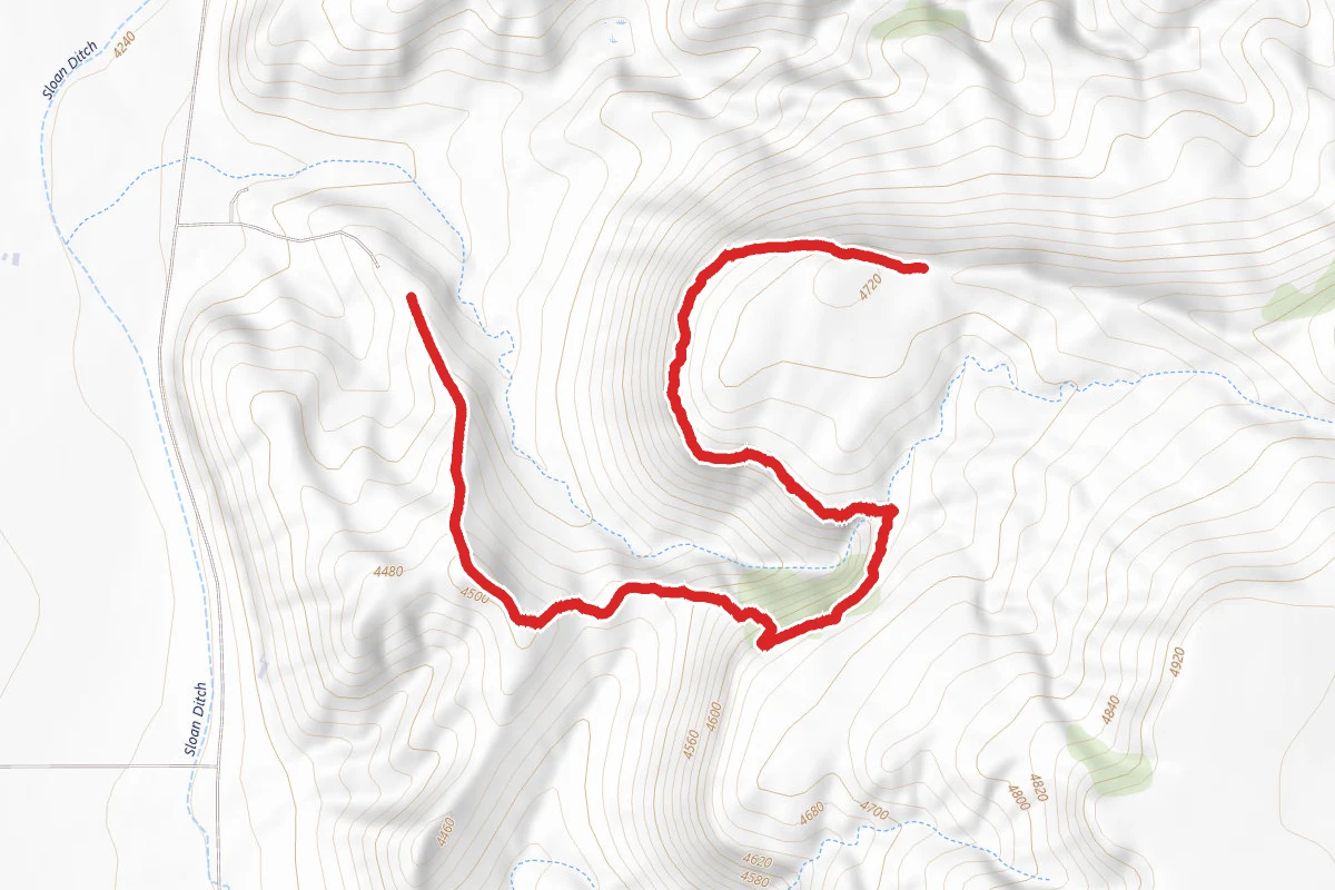 Rim Trail