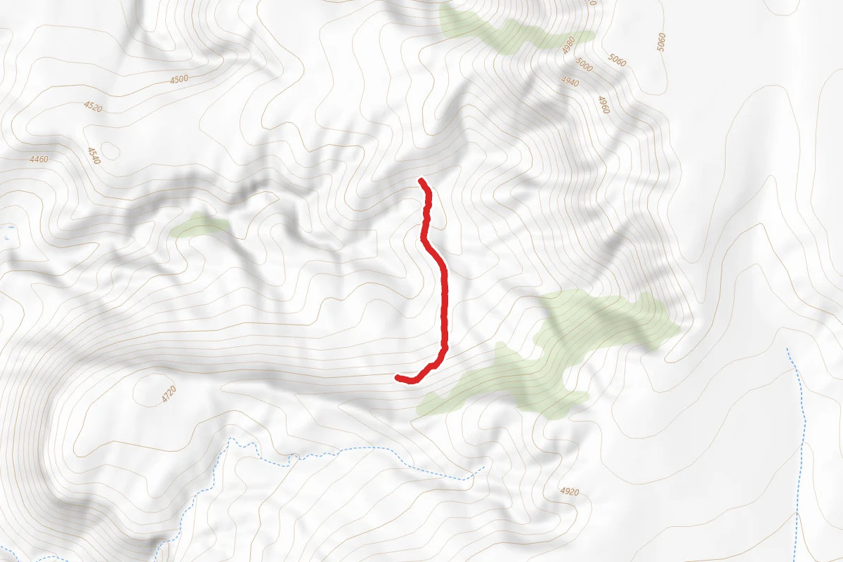 North Ridge Trail